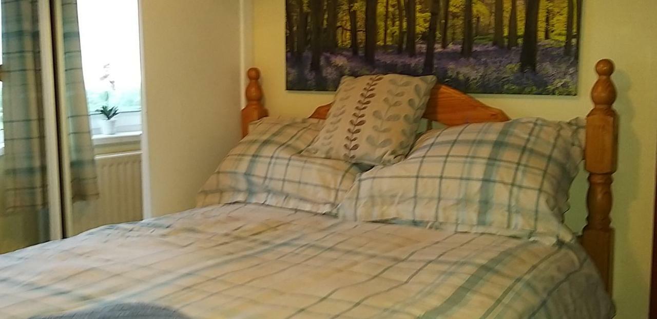 Antrim Heights Bnb エクステリア 写真