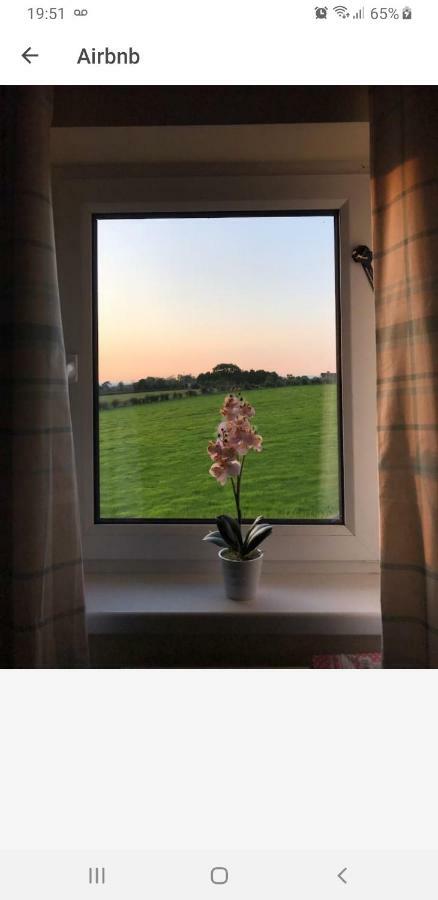 Antrim Heights Bnb エクステリア 写真