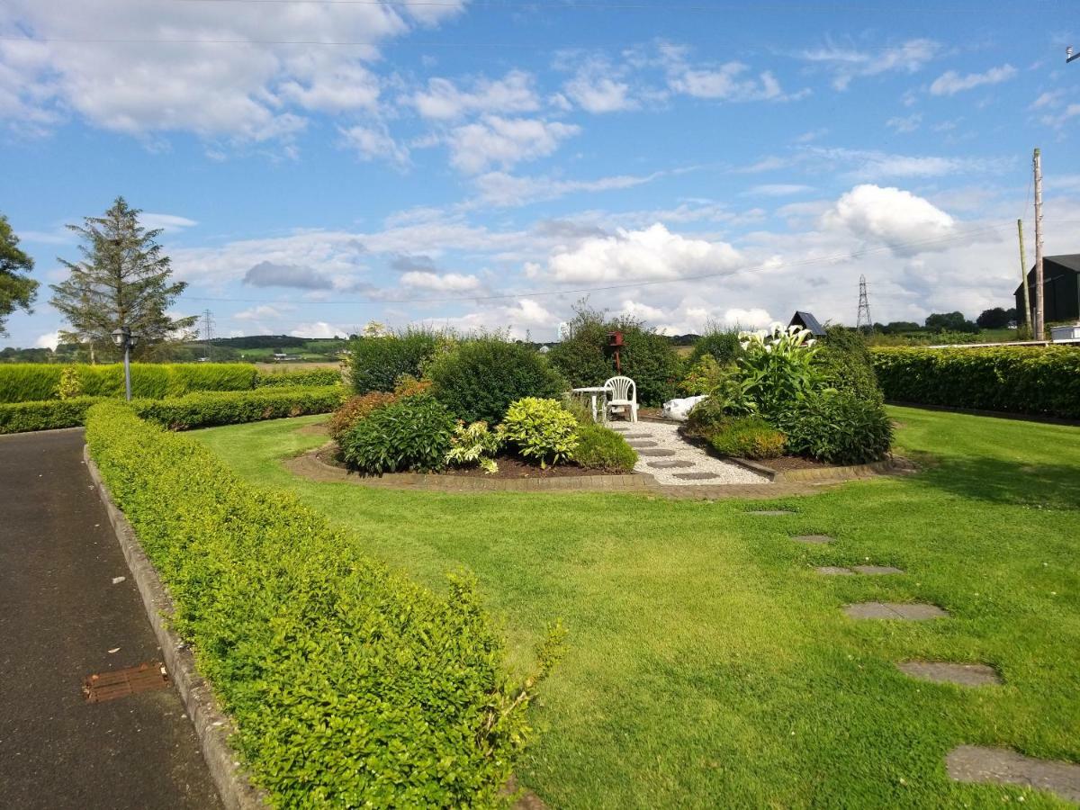 Antrim Heights Bnb エクステリア 写真