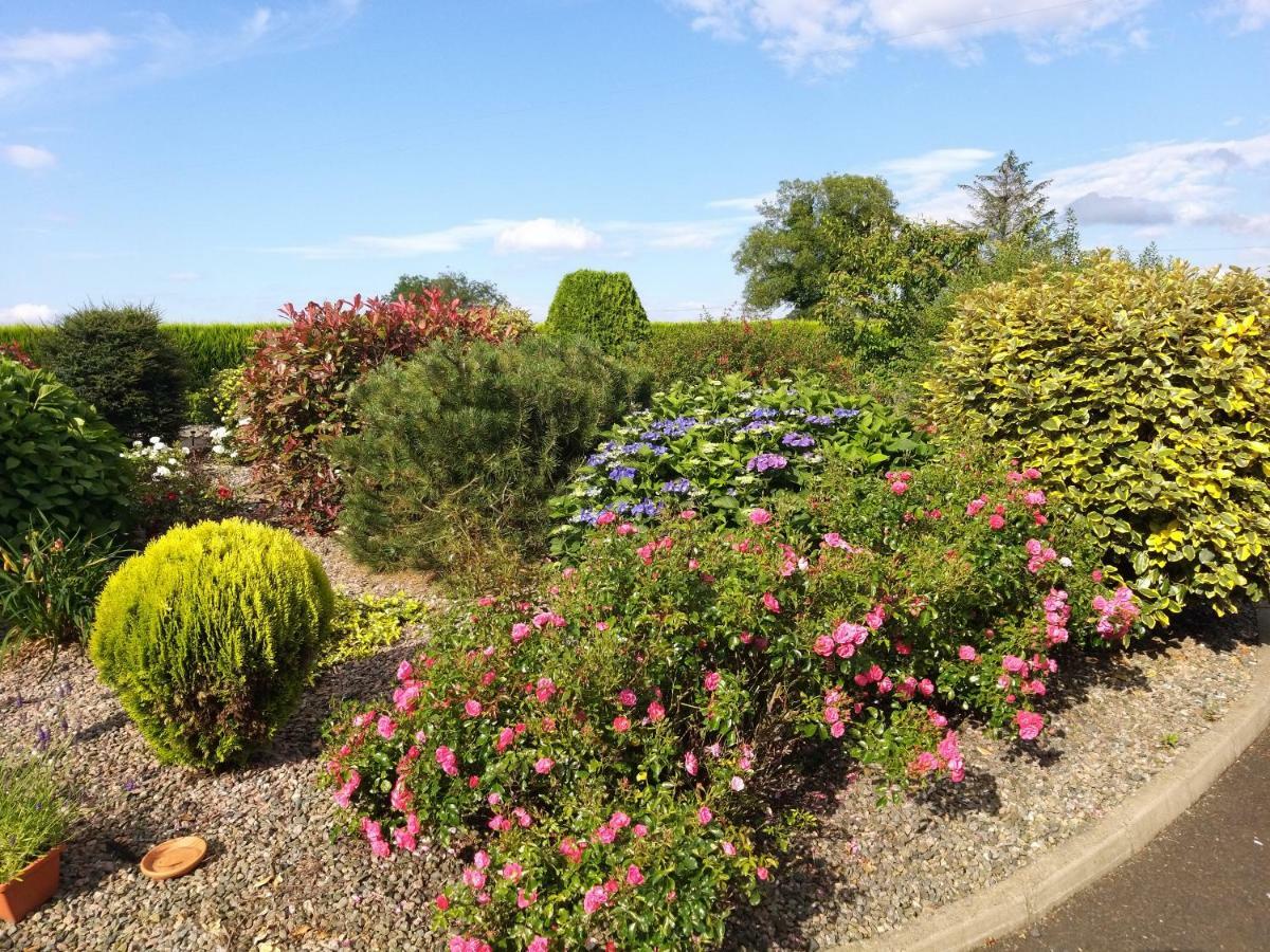 Antrim Heights Bnb エクステリア 写真