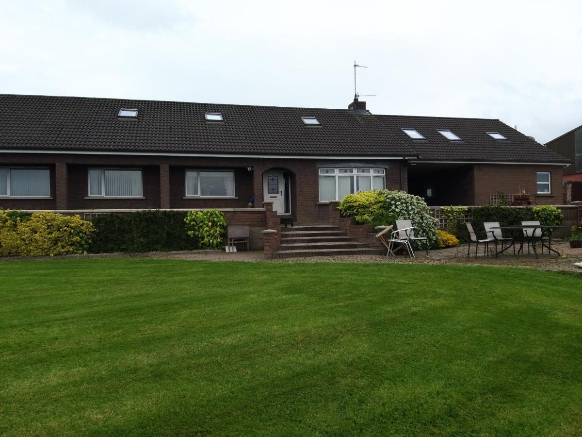Antrim Heights Bnb エクステリア 写真
